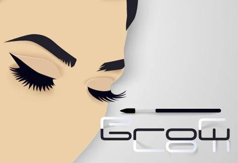 Brows and lashes lettering. Vector illustration of lashes and brows. For beauty Stock Illustration