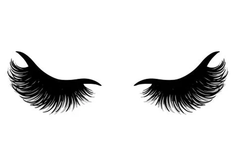 Brows and lashes vector illustration. Beautiful Eyelashes. イラスト素材
