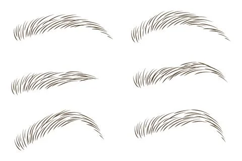 Brows set vector illustration design. イラスト素材