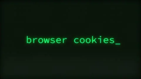 Browser Cookies, Typing Text, Retro Computer Screen Stock Footage 273299553