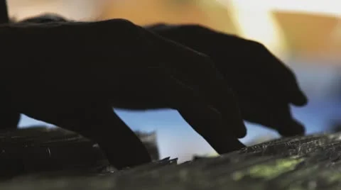 Browsing And Checking Vinyl Stock Footage 68960804