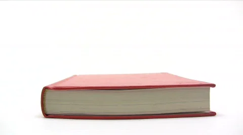 Browsing Book Pages Stock Footage 375775