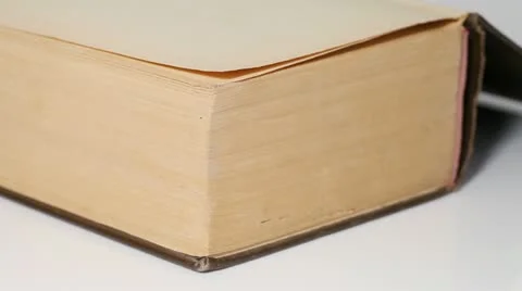 Browsing Book Pages Stock Footage 12062007