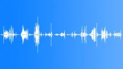 Browsing book - very fast Sound Effect