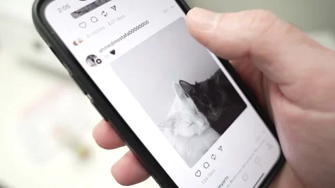 Browsing Threads App Feed on a Mobile Phone Closeup Stock Footage 261324293