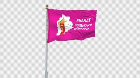 BRS  Flag 3 Stock Footage 328355800