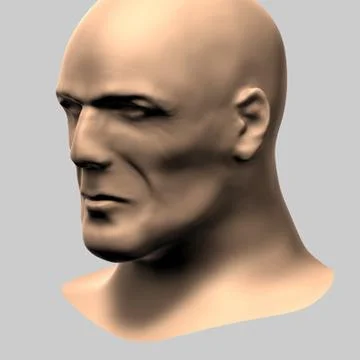 Bruce Head 3D Model