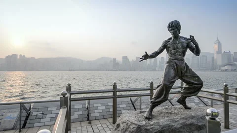 Bruce Lee statue Vídeo Stock 85823083