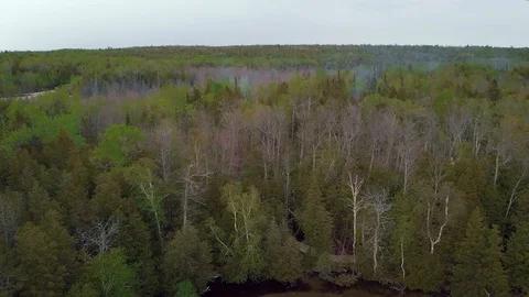 Bruce Peninsula outdoors Stock Footage