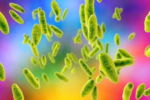 Brucella bacteria, illustration Stock Illustration