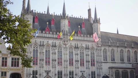 Bruges City Hall reveal from trees on sunny day in Belgium Stock Footage 329052632
