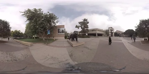 Bruin Bear Statue on UCLA Campus Stock Footage 80140833