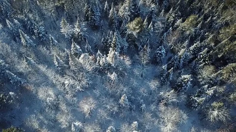 Brule River State Forest 2 Vídeos de archivo 121211096
