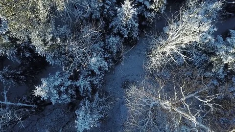 Brule River State Forest Vídeos de archivo 121211073