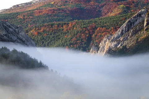 Brume Sigotier Stock Footage 142706047