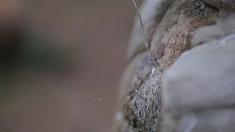 From brunch is flowing a water 2 Video stock 321660305