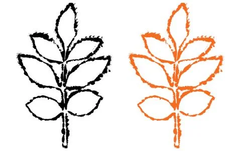 Brunch of leaves of ash tree, vector illustration. Stock Illustration