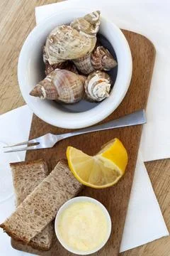 Brunch with shells Stock Photos