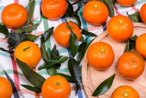Brunch of tangerines Stock Photos