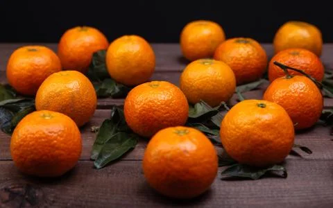 Brunch of tangerines Stock Photos