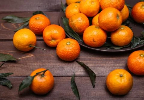Brunch of tangerines Stock Photos