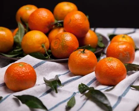 Brunch of tangerines Stock Photos