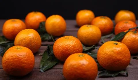 Brunch of tangerines Stock Photos