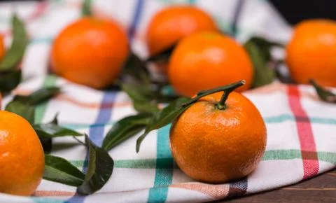 Brunch of tangerines Stock Photos