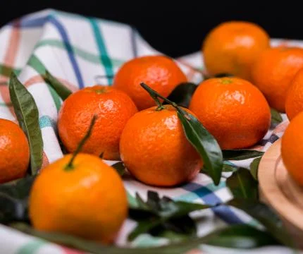 Brunch of tangerines Stock Photos