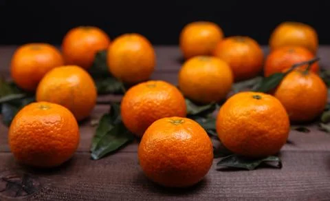 Brunch of tangerines Stock Photos