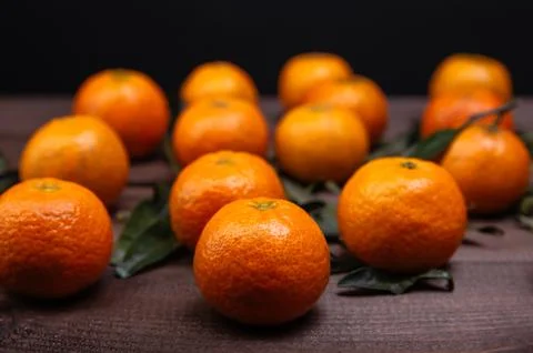 Brunch of tangerines Stock Photos