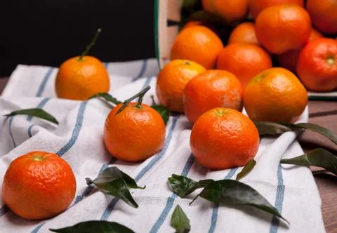 Brunch of tangerines Stock Photos
