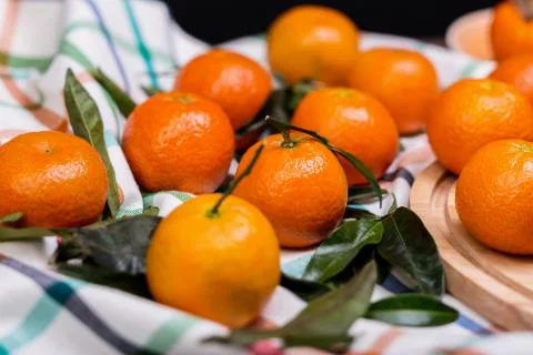 Brunch of tangerines Stock Photos