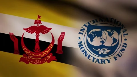 Brunei and IMF waving flag Stock Footage 245347375