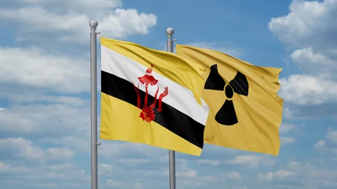 Brunei and radiation danger flags Stock Footage 271309891