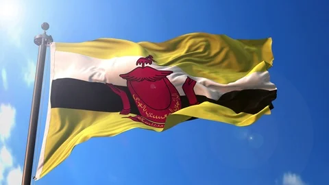 Brunei animated flag pack in 3D and green screen Stock Footage 119933362