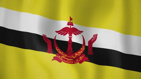 Brunei animated flag. Seamless loop. 4K Stock Footage 145429734