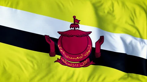 BRUNEI COUNTRY FLAG Stock Footage 282301388