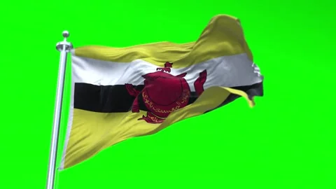 Brunei Darussalam Flag Waving in Loopable and Textured green screen background Stock Footage 296876506