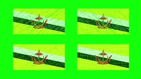 Brunei Darussalam Scribble Animation on Green Screen Background. Looping se.. Stock Footage 241575344