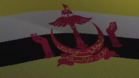 Brunei Flag Digital Particle Waving Seamless Loop Animation on Black Backgrou Видео 339302280