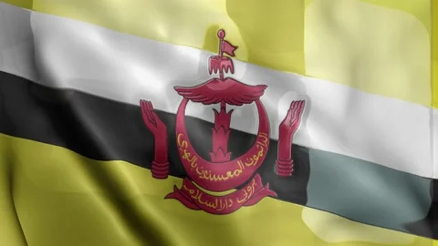 Brunei Flag Stock Footage 133773478