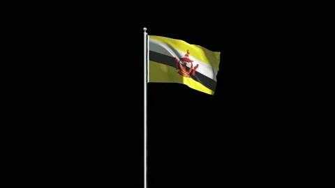 Brunei Flag Stock Footage 160125722