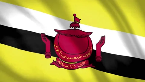 Brunei Flag  Stock Footage 188184176