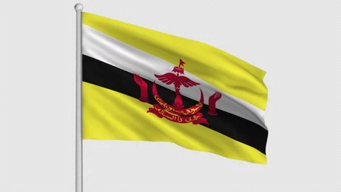 Brunei Flag Stock Footage 211110430