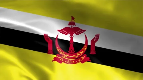 Brunei Flag Stock Footage 262499728