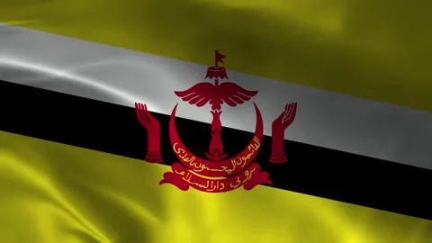Brunei Flag Stock Footage 336903370