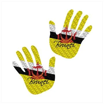 Brunei flag hand vector Stock Illustration