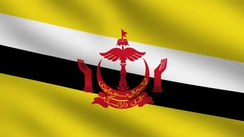 Brunei flag Stock Illustration
