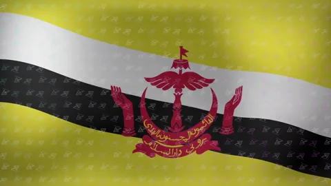 Brunei flag introducing rippling wave, crest flexing, drifting triangles and Stock Footage 313554309